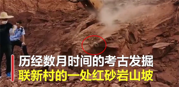 广东发掘33枚恐龙蛋