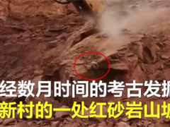 广东河源发掘33枚恐龙蛋化石，馆藏数量再创新纪录