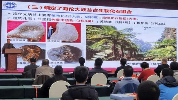 黑龙江发现罕见化石